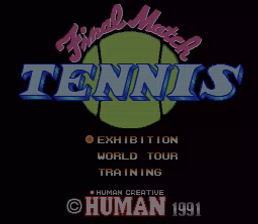 Image n° 7 - screenshots  : Final Match Tennis